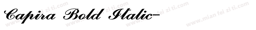 Capira Bold Italic字体转换